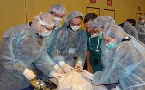 Dr. Kridel at Chicago Rhinoplasty Course