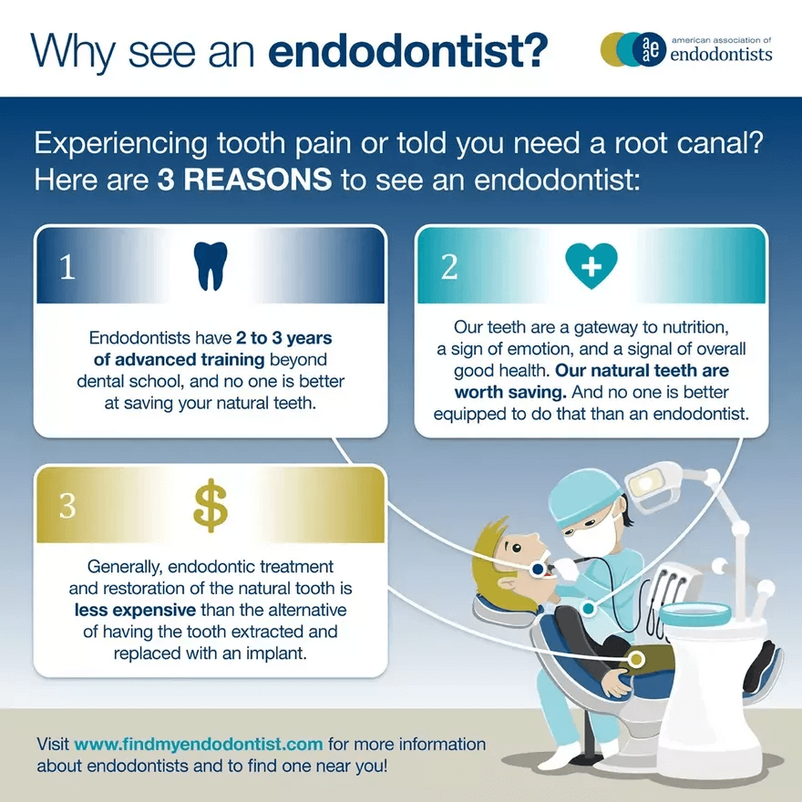 Why See an Endodontist Poster